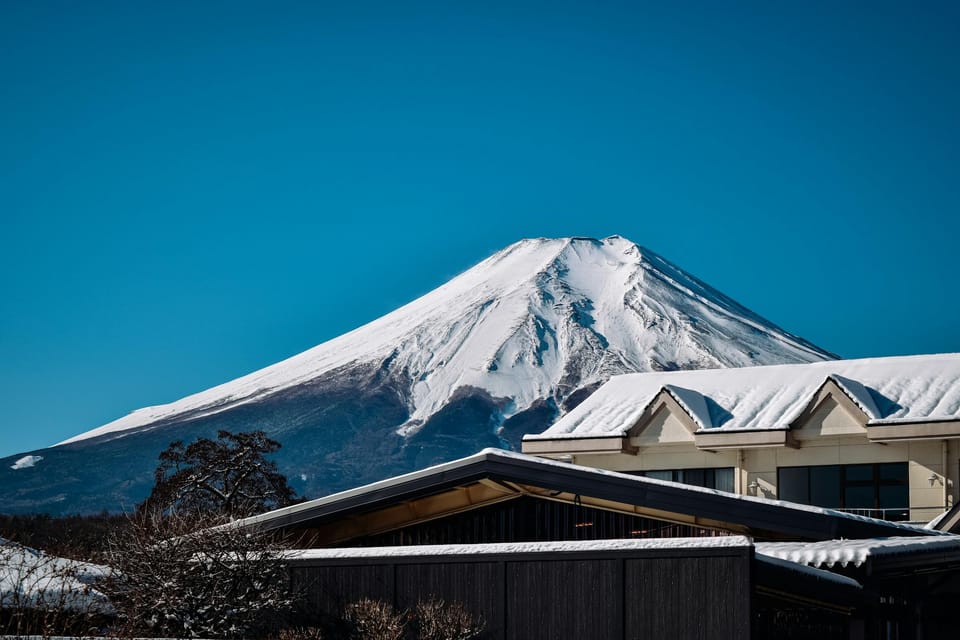 From Tokyo: Hakone & Mt.Fuji 1 Day Sightseeing Tour - Itinerary Highlights