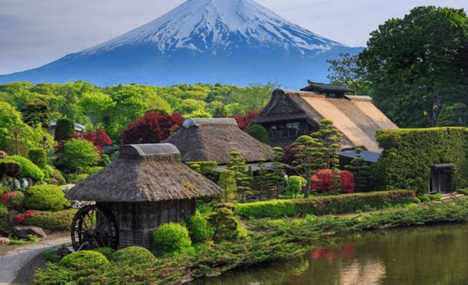 From Tokyo: Mount Fuji Full Day Private Tours English Driver - Pickup and Accessibility