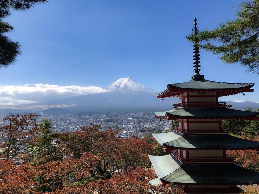 From Tokyo: Mt. Fuji And Hakone Private Sightseeing Day Trip - Pricing and Inclusions