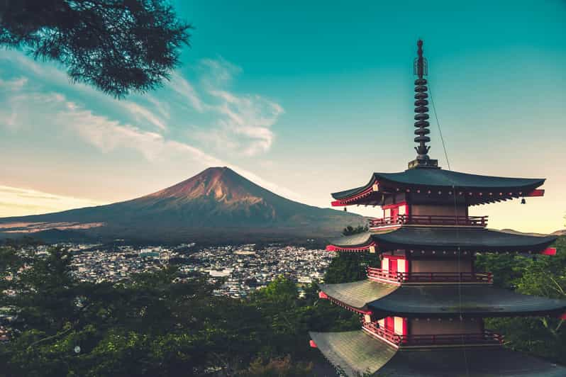 From Tokyo: Mt. Fuji or Hakone Private Sightseeing Day Trip - Itinerary Options