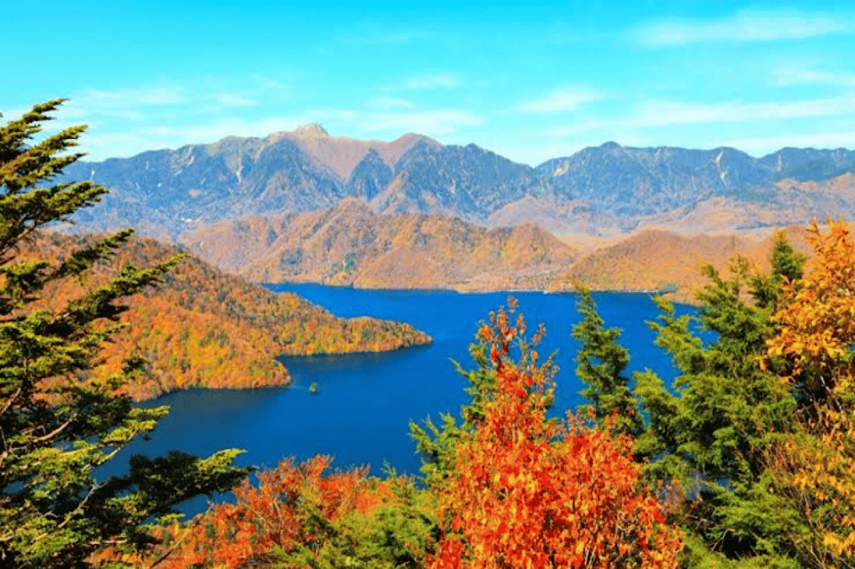 From Tokyo: Nikko Private Full-Day Sightseeing Day Trip - Private Chartered Car With Driver