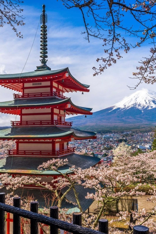 From Tokyo:Mount Fuji Customize Day Tour With English Driver - Pickup and Accessibility