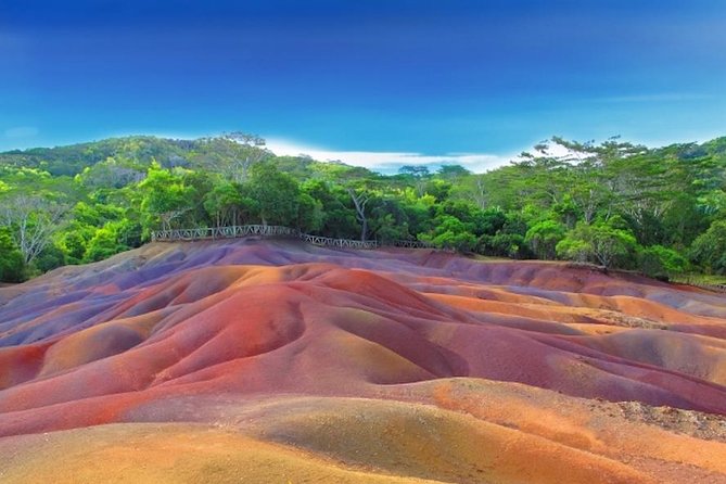 Full-Day Mauritius Volcanic Wonders Tour Including Swimming With Wild Dolphins - Swimming and Snorkeling With Dolphins