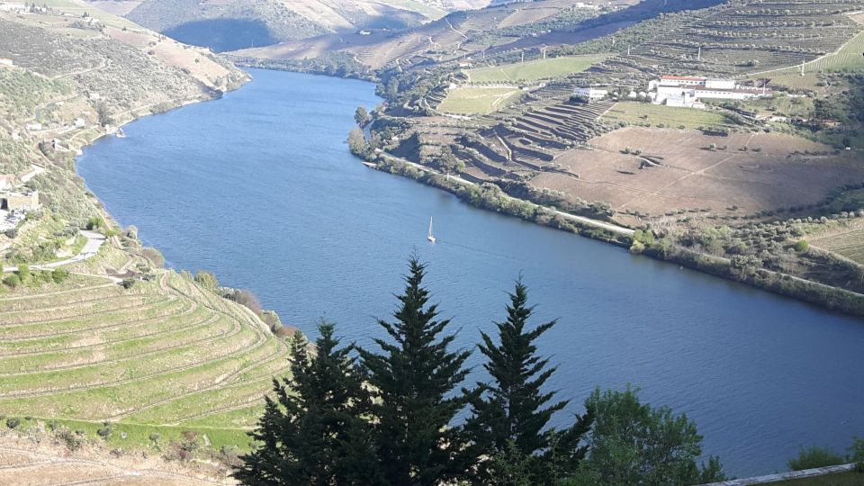 Full-Day Private Tour (Porto City + Douro Valley) - Tour Highlights