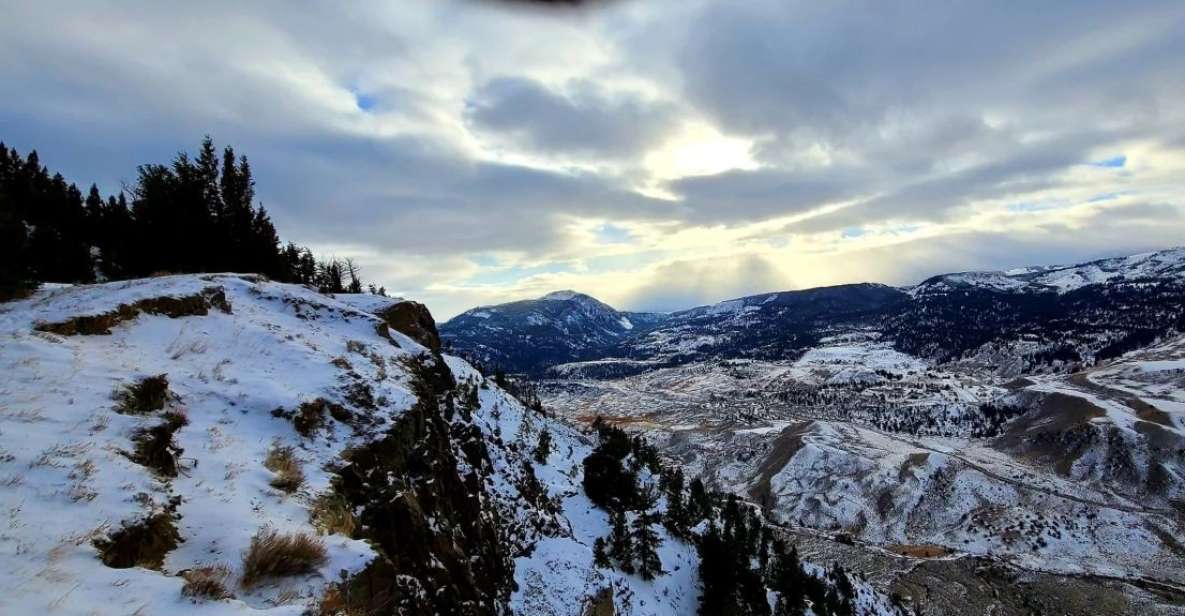 Gardiner: Yellowstone National Park Half Day Guided Hike - Wildlife Spotting in the Park