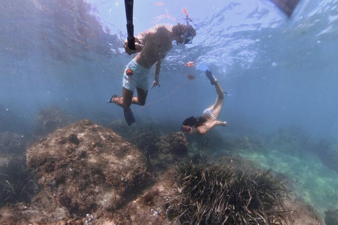 Guided Snorkeling in a Secret Spot of Begur, Costa Brava - Schedule and Availability