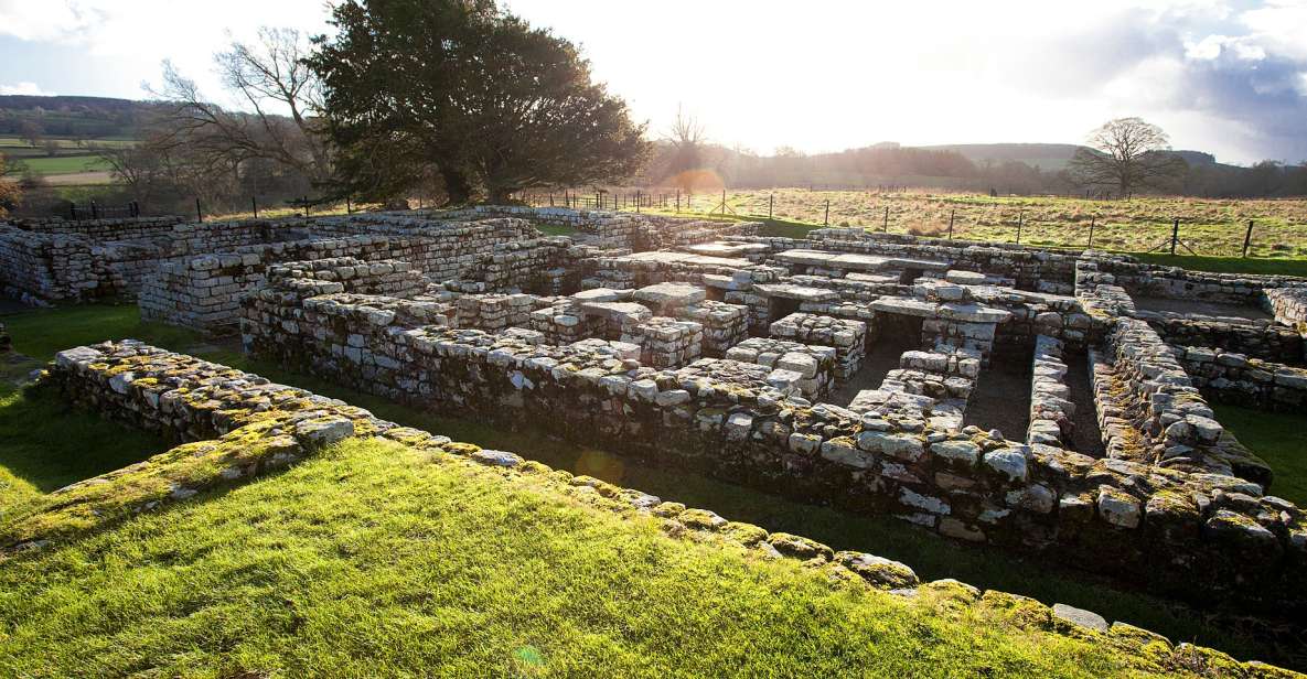 Hadrians Wall: Chesters Roman Fort and Museum Entry Ticket - Highlights of the Chesters Roman Fort