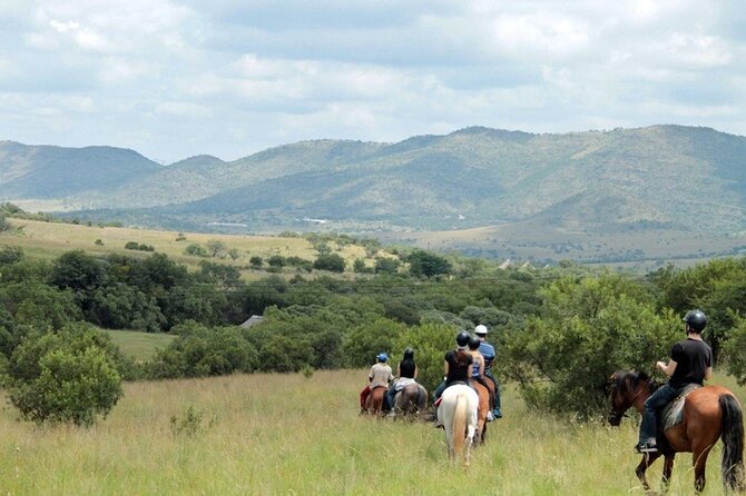 Harties Horse Trail Safari Half Day - Inclusions