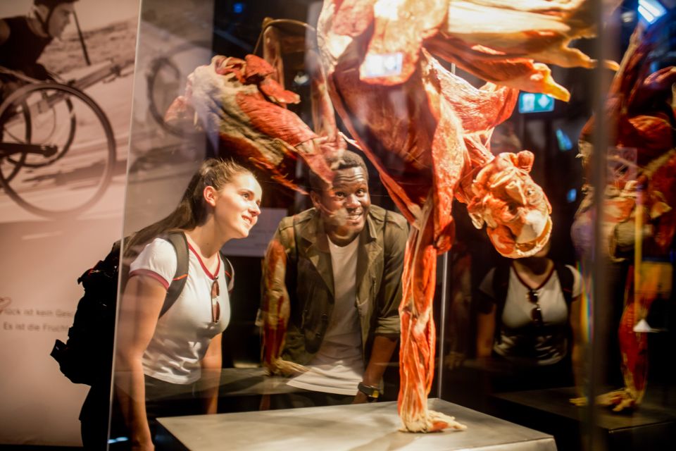 Heidelberg: BODY WORLDS Museum Entrance Ticket - Highlights of the Experience