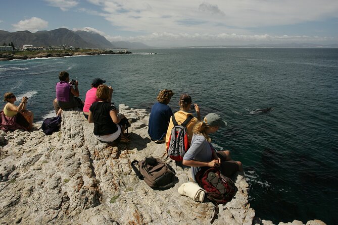 Hermanus Land Based Whale Walking Tour With Dave De Beer - Tour Details