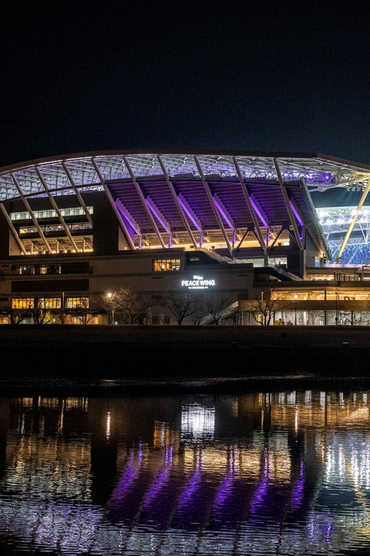 Hiroshima: Sanfrecce Hiroshima Football Game - Ticketing Specifics