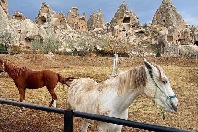 Horse Tour Accompanied by Sunset in Cappadocia - Including Hotel Transfer - Participation Guidelines