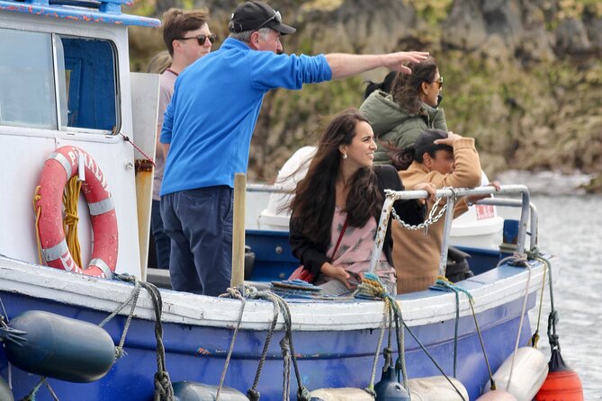 Howth Coastal 1 Hour Boat Tour (Irelands Eye Ferries) - Wildlife Sightings