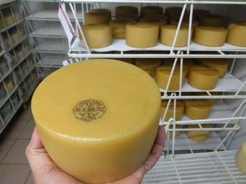 Idiazabal Cheese Tour From San Sebastian - Experience Highlights