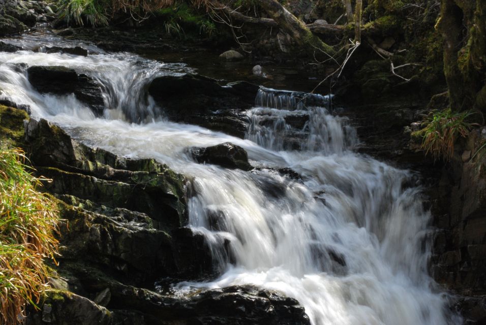 Inverness: Alternative Loch Ness Tour - Ancient Burial Chamber