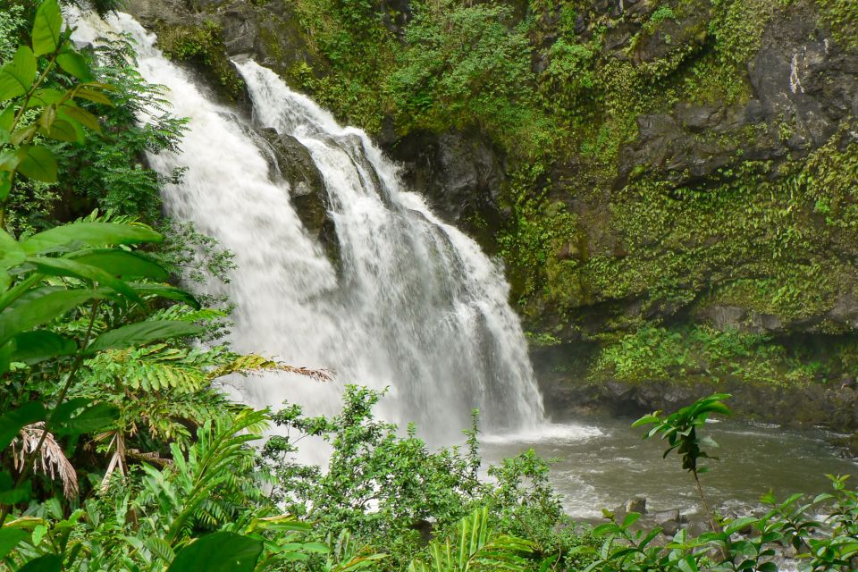 Kahului: Guided Rainforest and Waterfall Walk - Experience Highlights