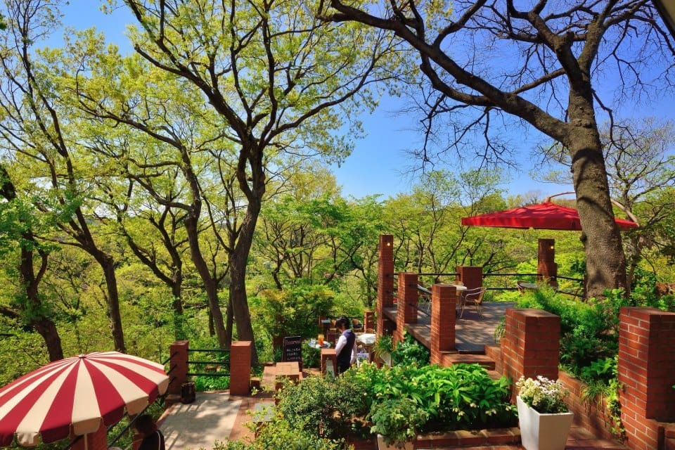 Kamakura: 5-Hour Nature and History Tour Review - Itinerary Highlights