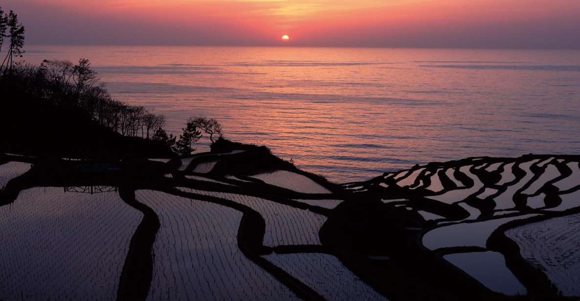 Kanazawa: Noto Peninsula Private Day-Tour - Senmaida Rice Fields Admiration