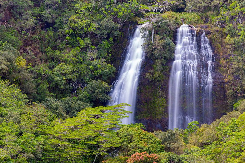 Kauai: Scenic Movie Locations Bus Tour - Duration and Availability