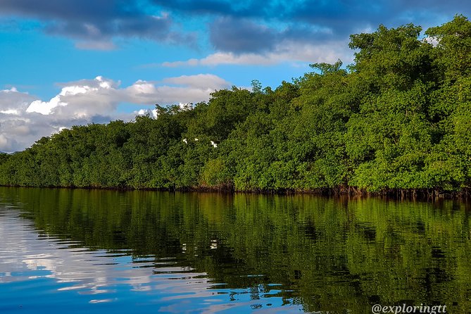 Kayak Adventure in the Second Largest Swamp of Trinidad and Tobago - Pricing and Booking Information