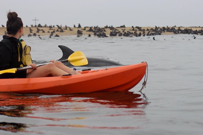 Kayaking and Sandwich Habour Guided Day Tour From Walvis Bay - Namib Desert Exploration