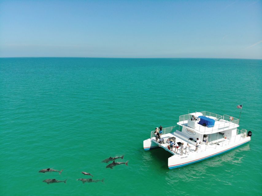 Key West: Dolphin Watching and Snorkeling Sunset Cruise - Experience Highlights