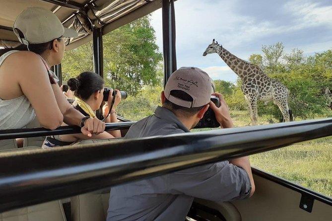 Kruger National Park Morning Safari 2 People Minimum - Meeting and Pickup Details