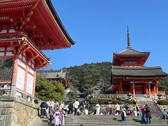 Kyoto-Nara - See the Best in One Day! - Venture to Naras Todaiji Temple