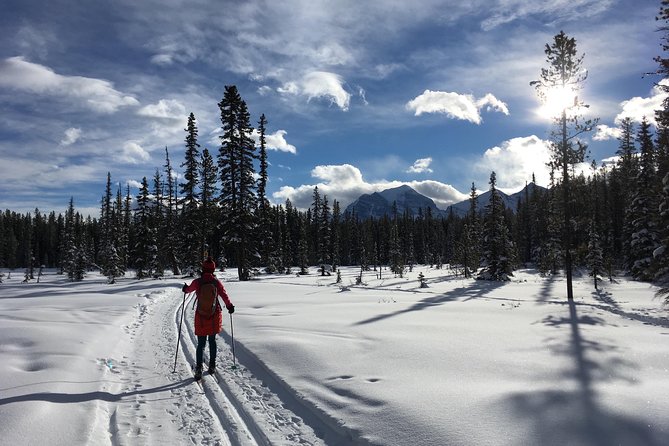 Learn to Cross Country Ski in Lake Louise - Group Size and Personalized Instruction