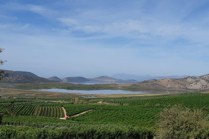 Mandarina Farming Tour With Food and Drink Tasting in Albania - Inclusions in the Tour