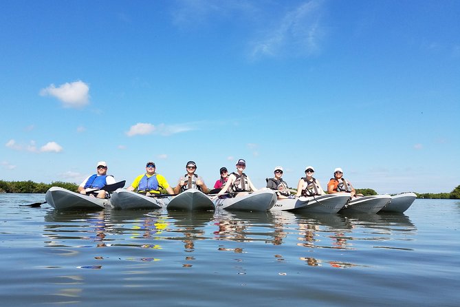 Mangrove Tunnels, Dolphins, Manatee Tour #1 Rated in Cocoa Beach - Kayaking Options and Inclusions