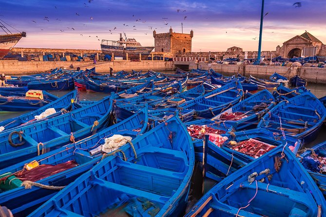 Marrakech to Essaouira: Private Transfer for Your Comfort - Inclusions and Highlights