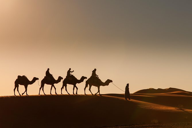 Marrakech to Merzouga 3-Days Desert Safari Shared - Transportation Details