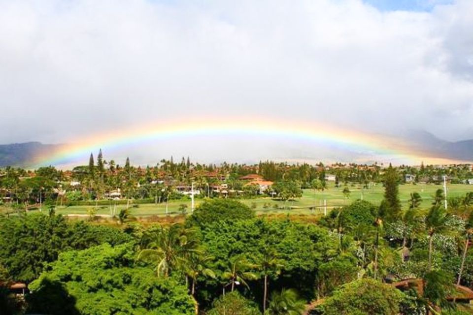 Maui: Lahaina Old Town Self-Guided Audio Tour - Highlights of the Tour