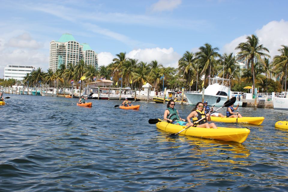 Miami: Biscayne Bay Kayak or Paddleboard Rental - Wildlife and Environment