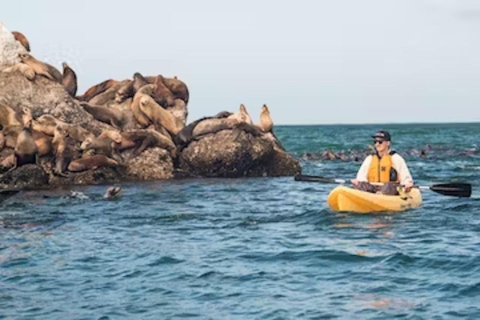 Monterey: Pebble Beach Kayak Tour - Tour Details