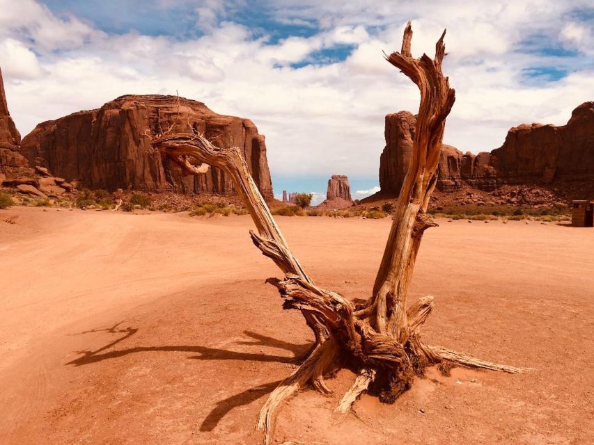 Monument Valley: 3-Hour Sunrise Tour With Navajo Guide - Experience Highlights