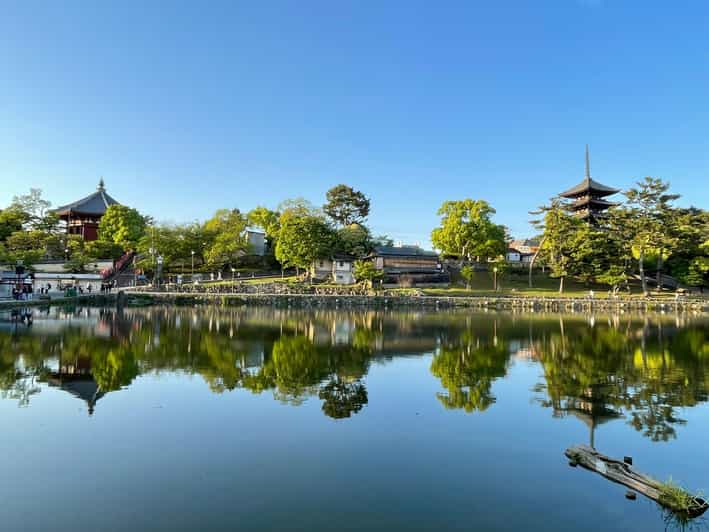 Nara: 1 Day Local Guide Review - Highlights and Itinerary