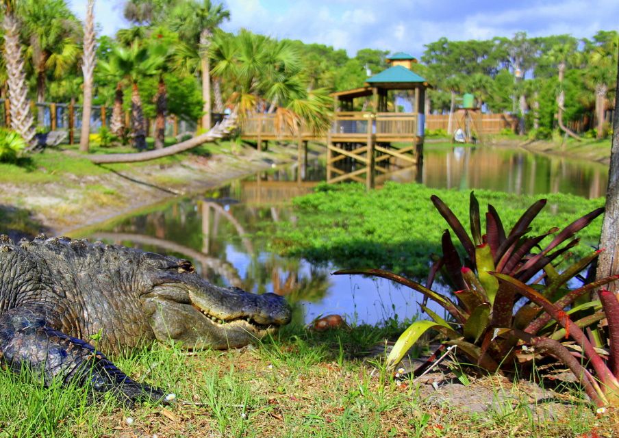 Orlando: Wild Florida Airboat Ride With Transport & Lunch - Thrilling Airboat Ride