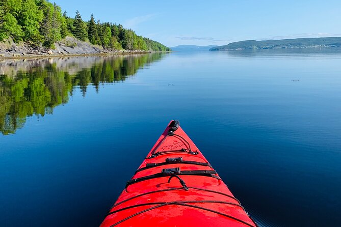 Paddle the Bay of Islands: 2 Hours Guided Kayak Experience - Kayaking Through Scenic Landscapes