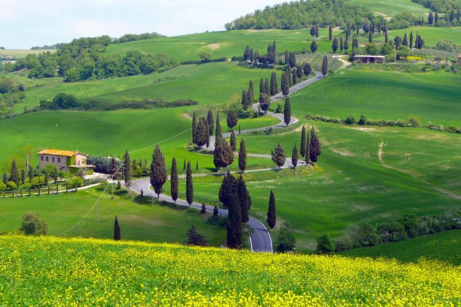 Pienza, Val D'orcia, Montalcino Wine and Pecorino Cheese PRIVATE TOUR From SIENA - Pienza and Its Medieval Charm