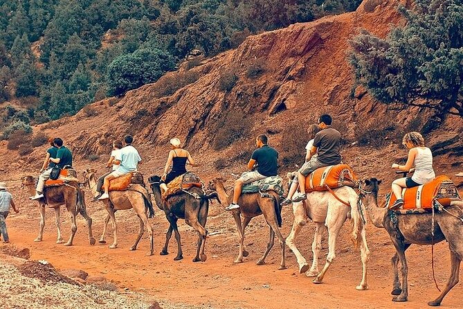 Premium Atlas Mountains & Berber Village Day Trip With Camel Ride - Additional Details