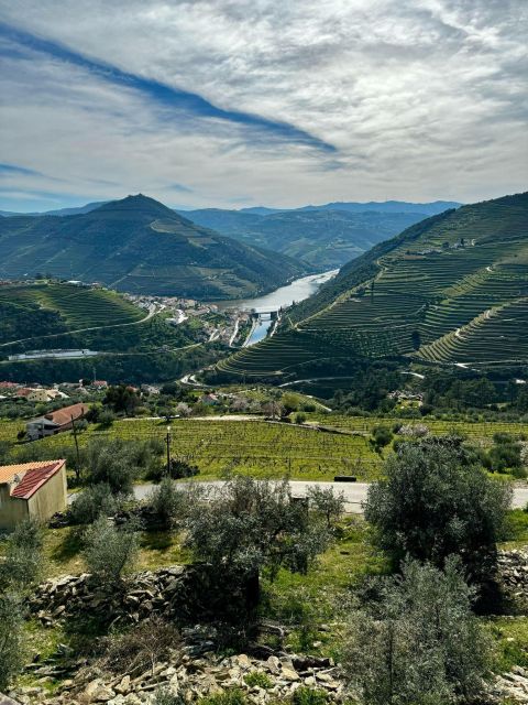 Private Douro Valley Full Day Tour - Scenic Drive to Douro Valley