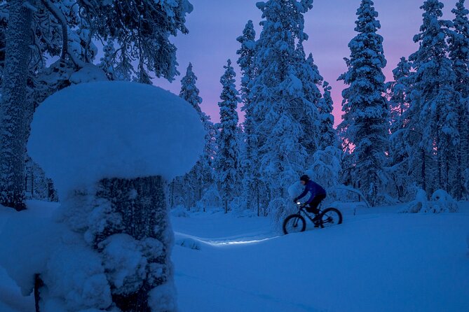 Private Electric Fat Bike Tour in Saariselkä - Included Equipment and Gear