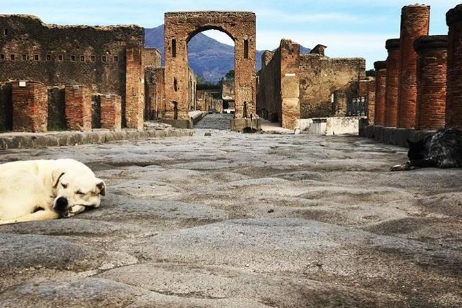 Private Guided Tour. Experience the Everyday Life of the Eternal Town of Pompeii - Meeting and Ending Points