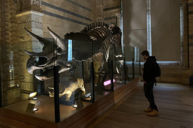 Private Guided Tour of Natural History Museum - Skip the Line - Meeting and Accessibility