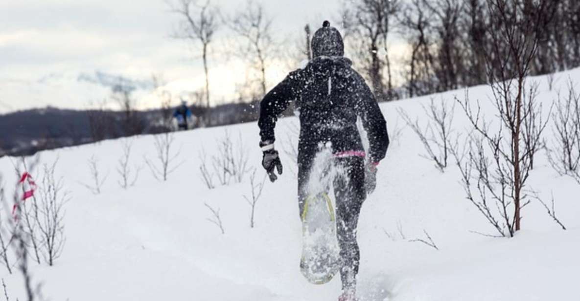 Private Snowshoeing Full Day - Pricing