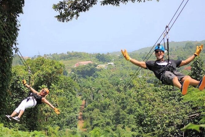 Rainforest Zipline in Foothills of the National Rainforest - Meeting Point and Transportation