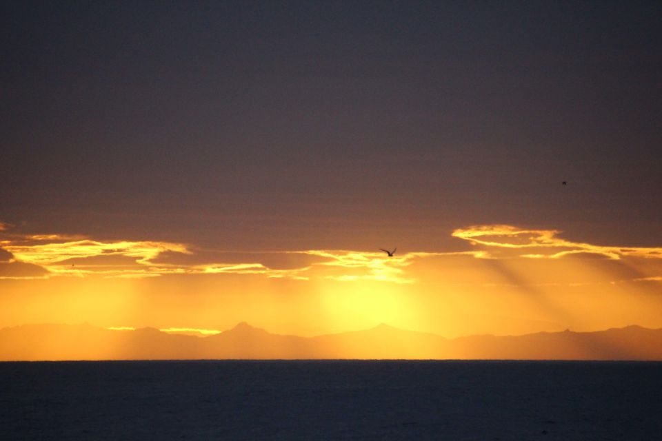 Reykjavik: Midnight Sun Whale Watching Cruise - Midnight Sun Over the Waters