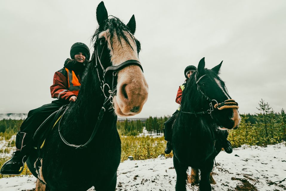 Rovaniemi: Arctic Horse Riding Experience - Included in the Tour